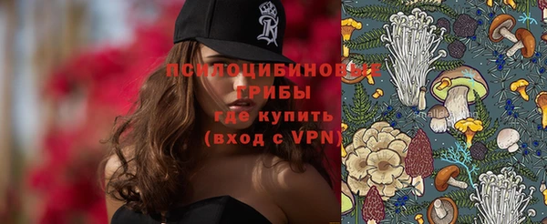 скорость Алзамай