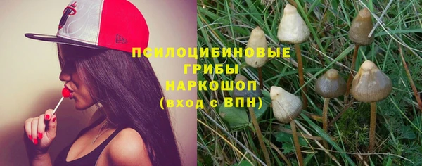 скорость Алзамай
