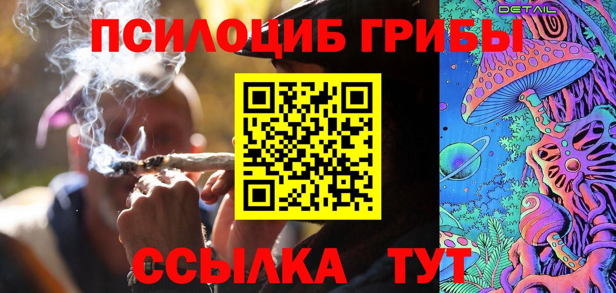 Псилоцибиновые грибы Psilocybine cubensis Ахтубинск
