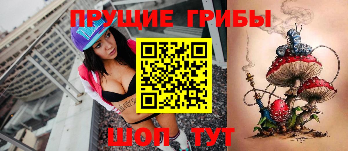 Ахтубинск  Псилоцибиновые грибы Cubensis  Вход с VPN 